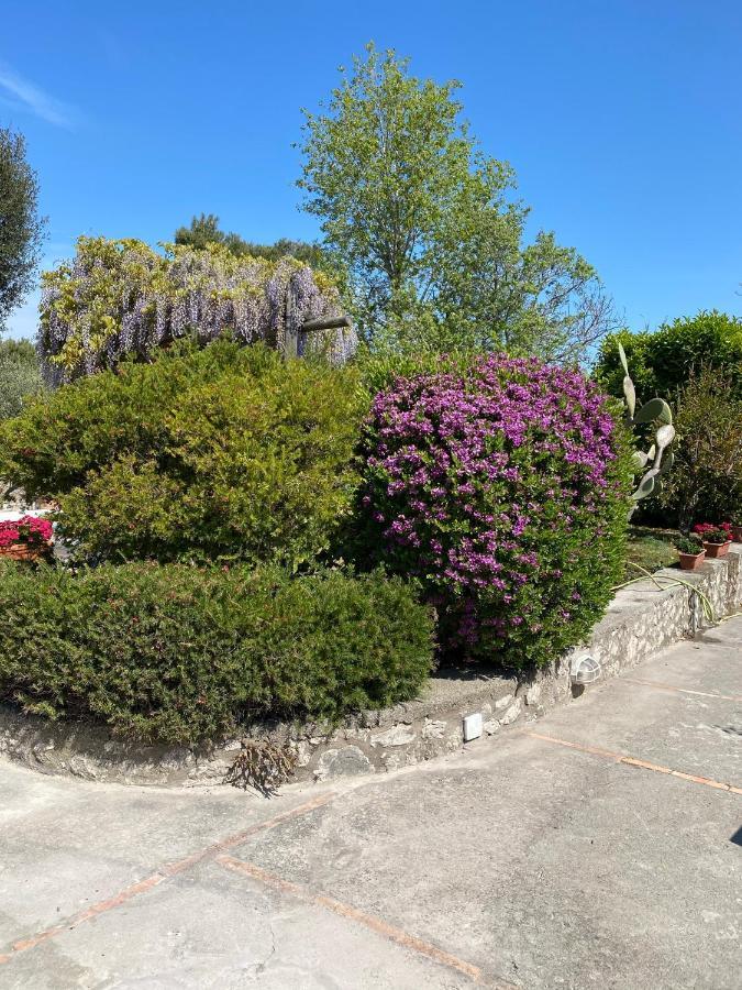 Villa Casaale Anacapri  Exterior foto